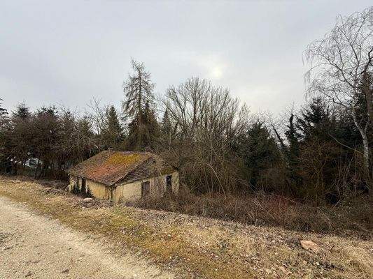 Südlicher Grundstücksteil