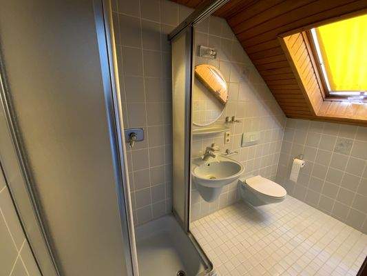 Duschbad Dachgeschoss