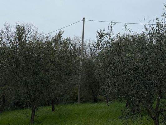 Strommast für Strom beantragen