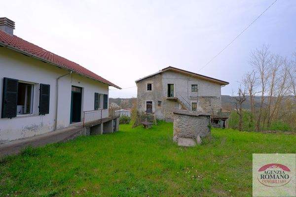 rif 1504(Copy43).jpg