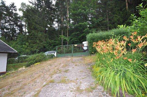 02 gemeinsame Einfahrt.JPG