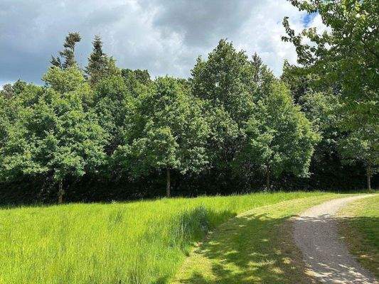 Landschaftsschutzgebiet