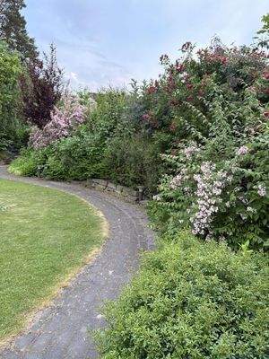 Weg in den hinteren Garten