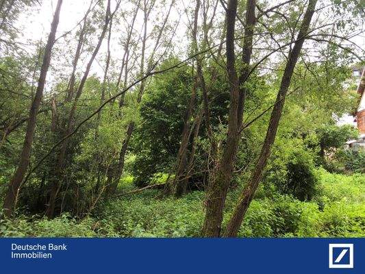 Blick von der Waldseite