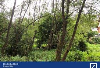 Blick von der Waldseite