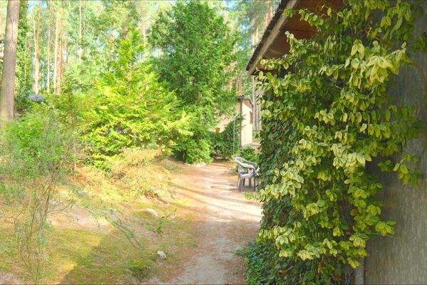 Nordansicht Gartenpfad