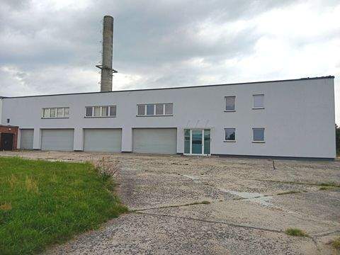 Kodersdorf / Feldhäuser Halle, Kodersdorf / Feldhäuser Hallenfläche