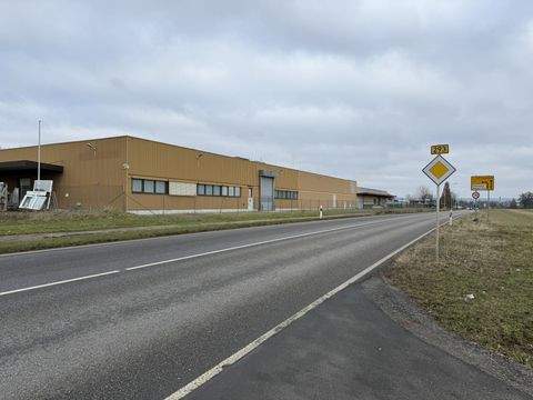 Heilbronn Halle, Heilbronn Hallenfläche