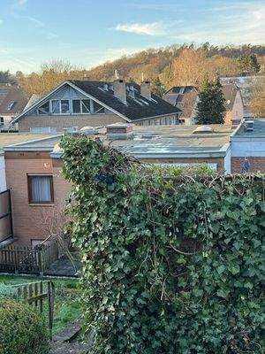 Blick aus dem Garten