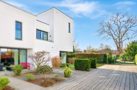 Bremen / St. Magnus Häuser, Bremen / St. Magnus Haus kaufen