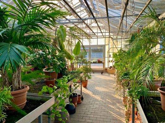 14) Gewächshaus