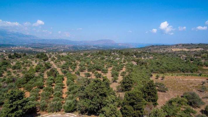 Kreta, Kefalas: NEUBAU! Gemütliche Villa unter den Olivenbäumen zu verkaufen