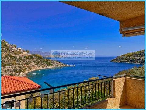 Solygeia Wohnungen, Solygeia Wohnung kaufen