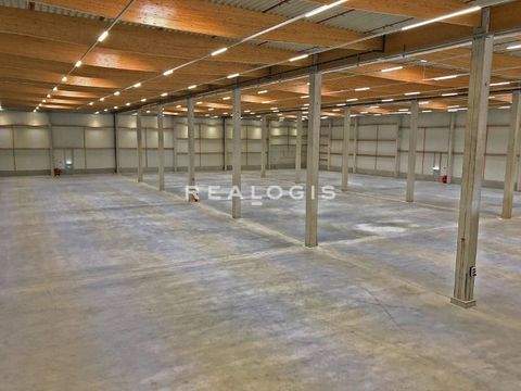 Empfingen Halle, Empfingen Hallenfläche