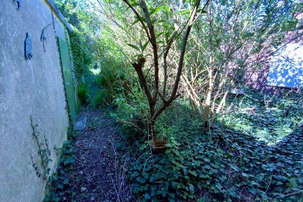 Blick a. d. Windfang in den Garten