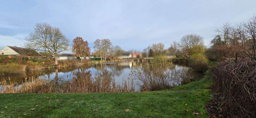 Blick auf den Dorfteich