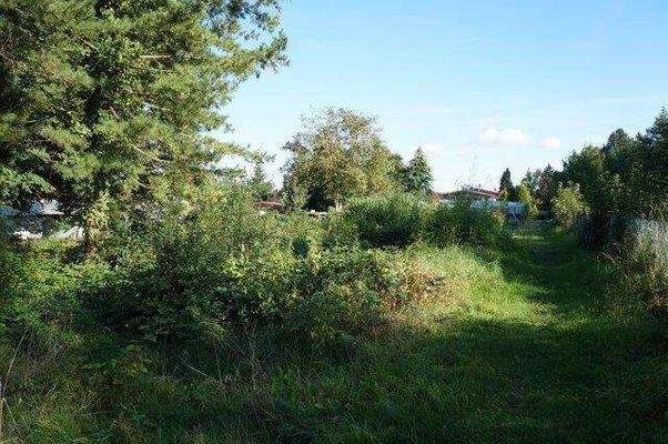 Blick östlich/ nördlich