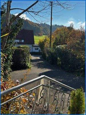 Ausblick von Haus zur Zufahrt