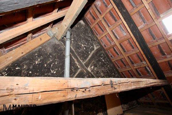 Dachspitz_Ansicht II