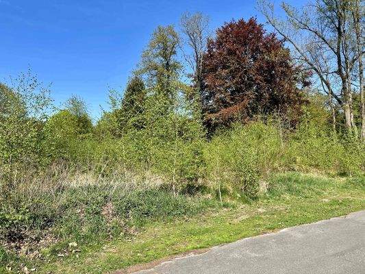 mittlerer Grundstückteil rechts