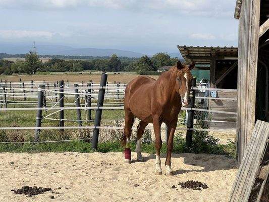 Traumblick und naturnah