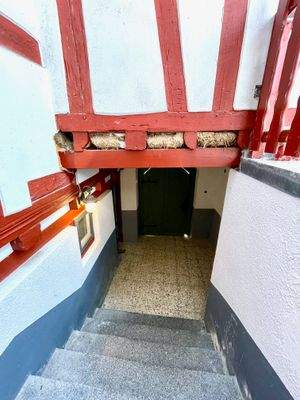 Eingang_Blick von der Haustüre in den Vorraum.jpeg