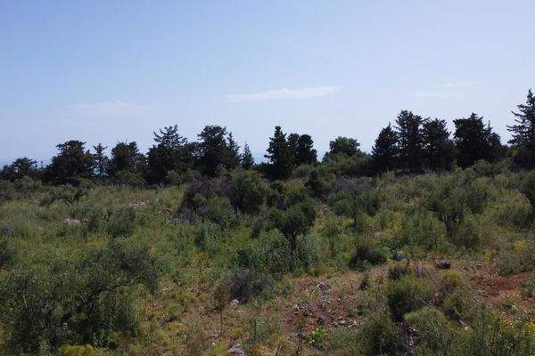 Kreta, Kefalas: Malerisches Grundstück mit Meerblick zu verkaufen