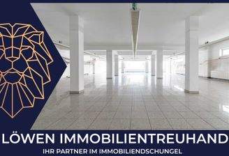 Löwen-Immobilien-Gewerbefläche-Geschäft-Geschä