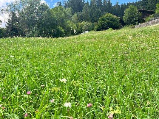 Ulten – Tourismus, Bauen und Gastronomie vereinen sich hier mit einzigartigen Chancen für neue Ideen und ein attraktives Baugrundstück – Ultimo, turismo, costruzioni e gastronomia si incontrano qui con opportunità uniche per nuove idee e un terreno edific