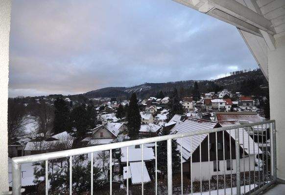 15 Ausblick Balkon.JPG