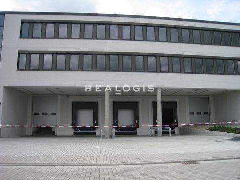 Reutlingen Halle, Reutlingen Hallenfläche