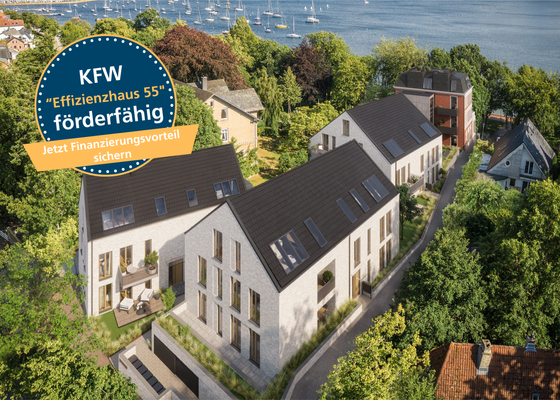 _Effizienzhaus 55 Störer