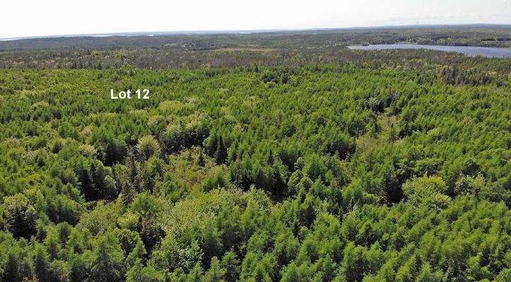 Cape Breton - Shaw Lake - 11,2 Hektar-Areal in her