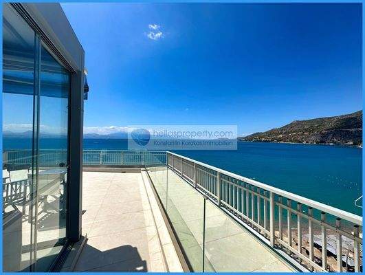 204d24e23b994da2876dd2eb293b8ec7-original