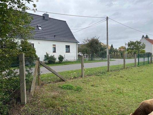 Blick zur Straße (östlich)