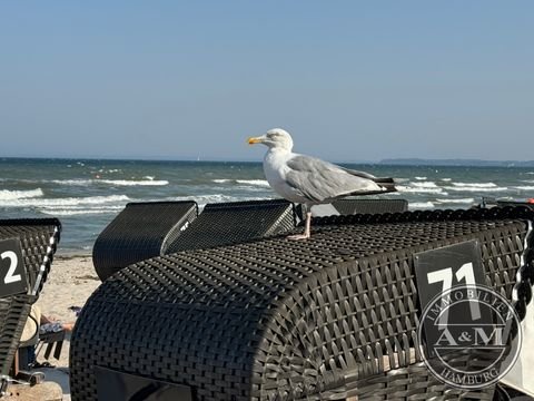 Scharbeutz Grundstücke, Scharbeutz Grundstück kaufen