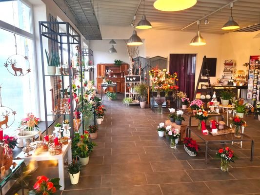 Top-Gelegenheit bis Cochem nur 5 Minuten