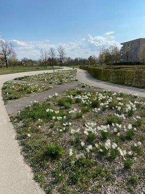 der_Sheridan-Park.jpg