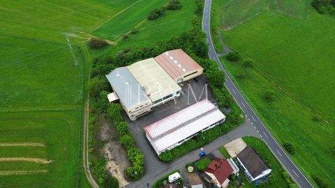 Balingen Halle, Balingen Hallenfläche