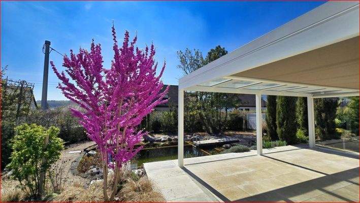 Terrasse und Schwimmteich