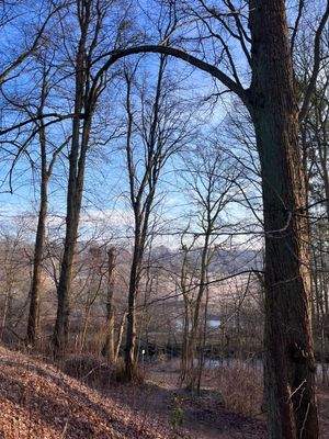 Blick auf die Mellingburger Alsterschleife 
