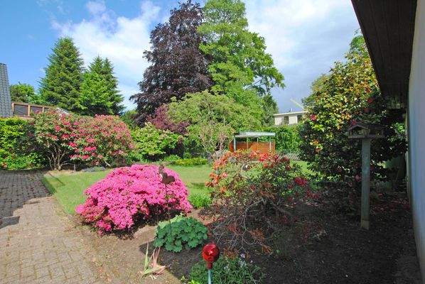 Blühende Garten-Perspektive