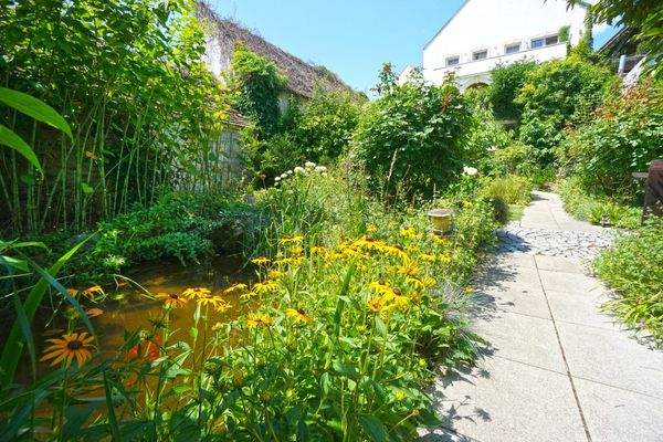 Garten_Biotop mit Goldfischen