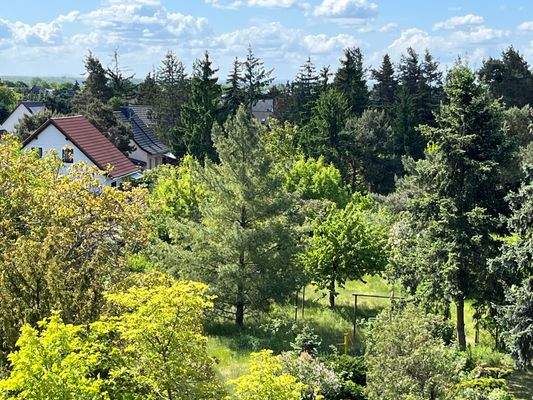 Grundstück Draufsicht