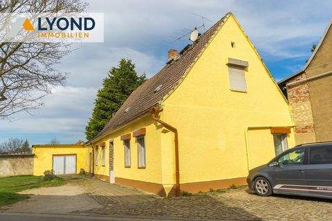 Güsten Häuser, Güsten Haus kaufen