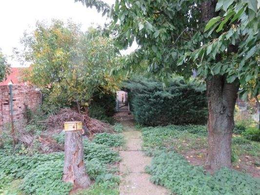 Blick vom Garten mit Weg