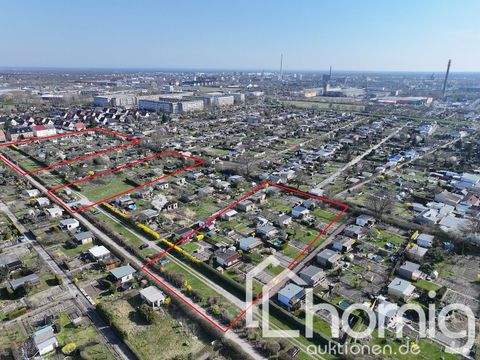 Dessau Bauernhöfe, Landwirtschaft, Dessau Forstwirtschaft