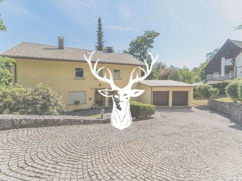 Laufenburg (Baden) Wohnungen, Laufenburg (Baden) Wohnung mieten