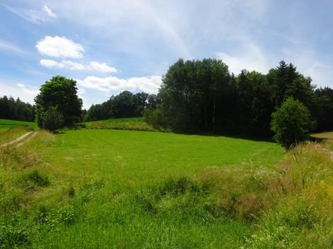 Pfeffenhausen Bauernhöfe, Landwirtschaft, Pfeffenhausen Forstwirtschaft