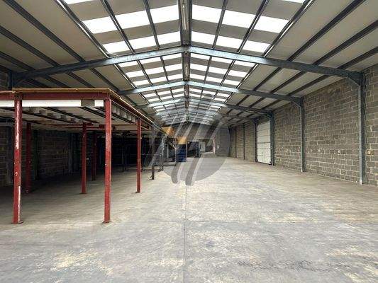 INFOS UNTER: 06171-586000